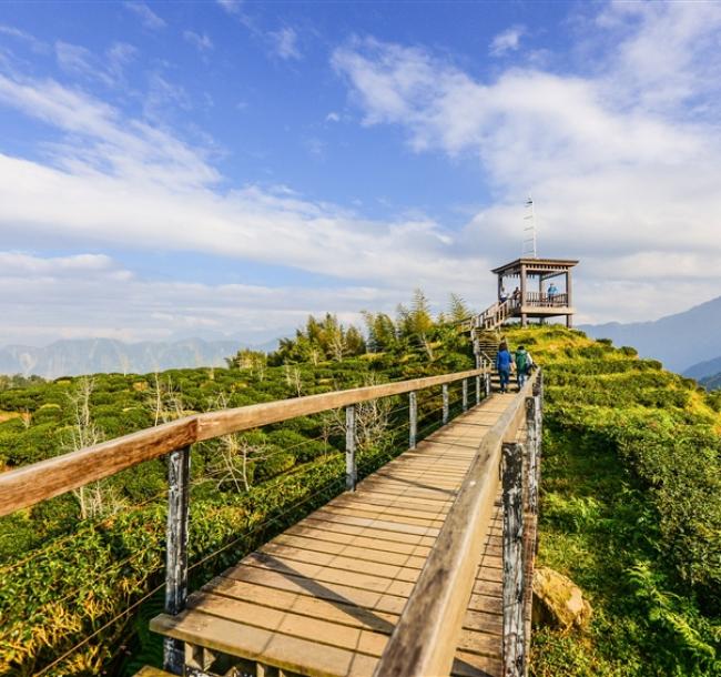 南投旅遊｜大崙山迎接2025第一道曙光～超壯觀雲海.茶二指喝茶去.溪頭森呼吸.紫南宮祈福求財.福華二日