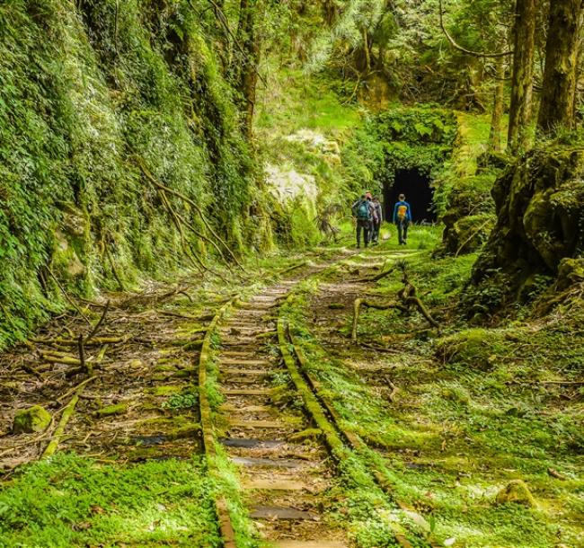 嘉義旅遊｜漫步眠月線.免睡帳篷.賓士包車到府接送二日｜六人成行