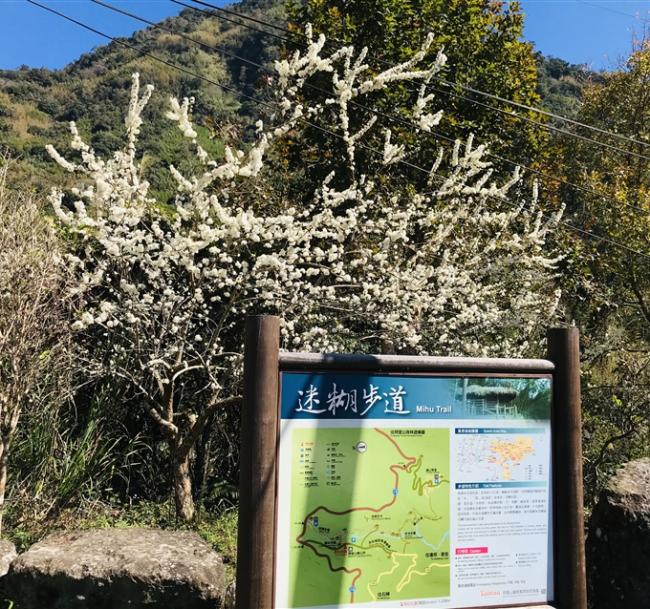 嘉義旅遊｜米洋溪步道．頂湖環湖O型步道．入住五星耐斯王子含飯店晚餐二日｜中部出發