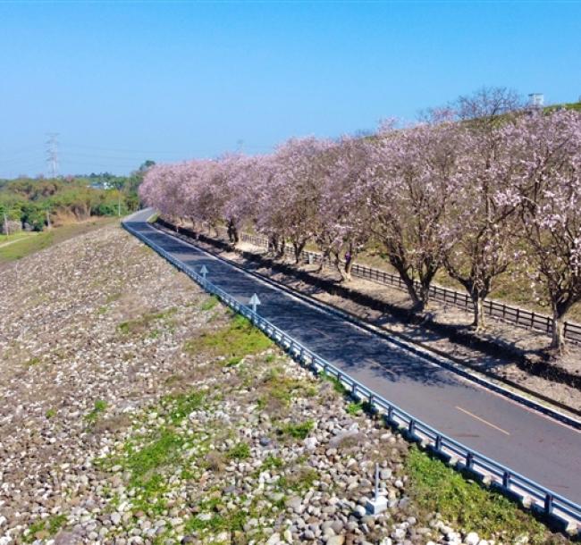 連休出遊．台南｜好享住奢華旅宿｜香榭大道南洋櫻.白河林初埤.五星桂田酒店阿力海晚餐二日｜中部出發