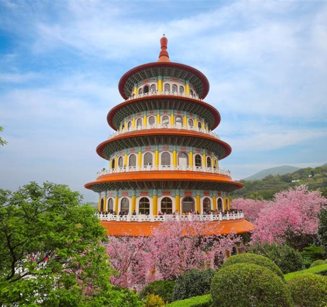 雙北旅遊｜淡水天元宮賞櫻.北投三層崎百花爭艷.1月訪珊瑚貝殼廟.2-3月訪新北最大百年梯田1日