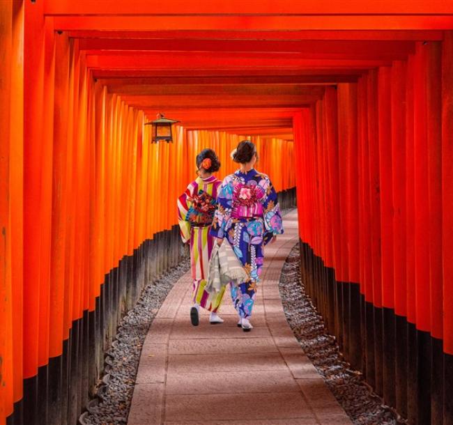 京阪奈旅遊｜奈良小鹿.京都廚房錦市場.清水寺.伏見稻荷大社.LaLaport門真五日