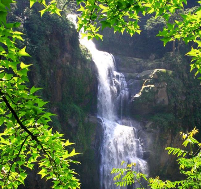 南投旅遊｜【大人囝仔.茶職人體驗】杉林溪森林遊樂區.遊山茶訪.上福裕茶園二日｜高雄台南出發