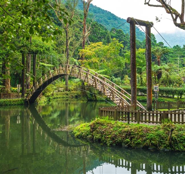 南投旅遊│日月潭遊湖.溪頭自然教育園區.向山遊客中心二日│台北新竹出發