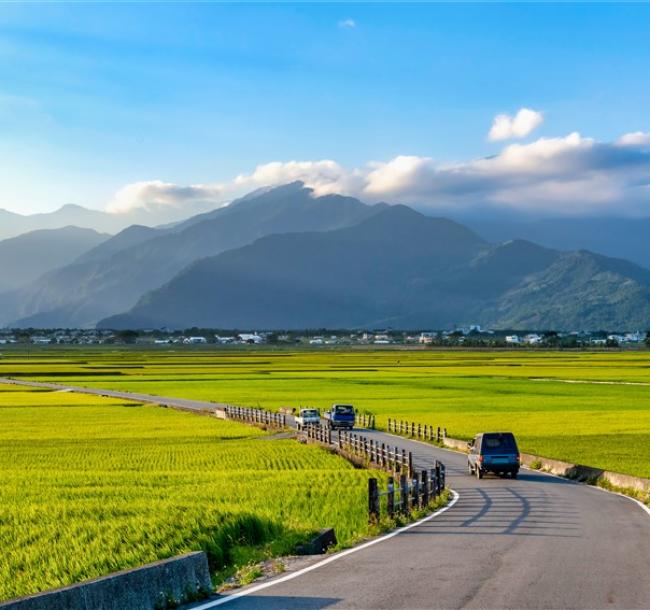 2025金蛇迎春.豪情花東山海戀.火車三日