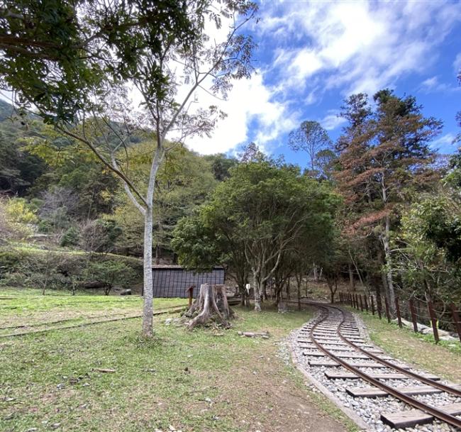 台中旅遊｜大人囝仔｜八仙山國家森林遊樂區.谷關溫泉老街一日｜中部出發