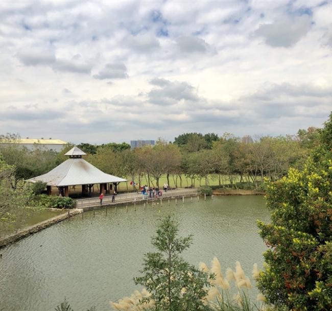 桃園旅遊｜2025臺灣燈會in桃園.桃園酒廠賞櫻花.八德埤塘生態公園一日