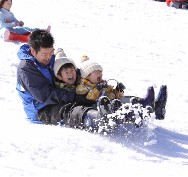 省最大北海道旅遊｜雪盆戲雪.海洋公園.企鵝遊行.洞爺湖.昭和新山.小樽漫遊.溫泉螃蟹五日｜保住一晚溫泉