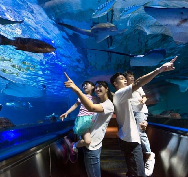 金蛇賀歲折4000│五星遠雄悅來.歡樂海洋公園.鯉魚潭踩船.親子拓印敲敲樂.兆豐農場.親子火車三日