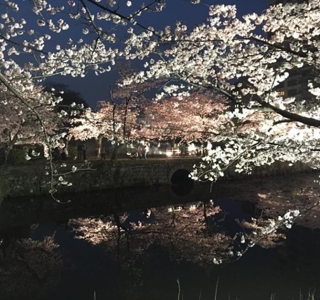 九州｜遇見春櫻.一心行大櫻.宇佐神宮.福岡西公園.熊本城.萌熊電鐵.舞鶴夜櫻.金鱗湖.湯布院.溫泉五日【高雄直飛】