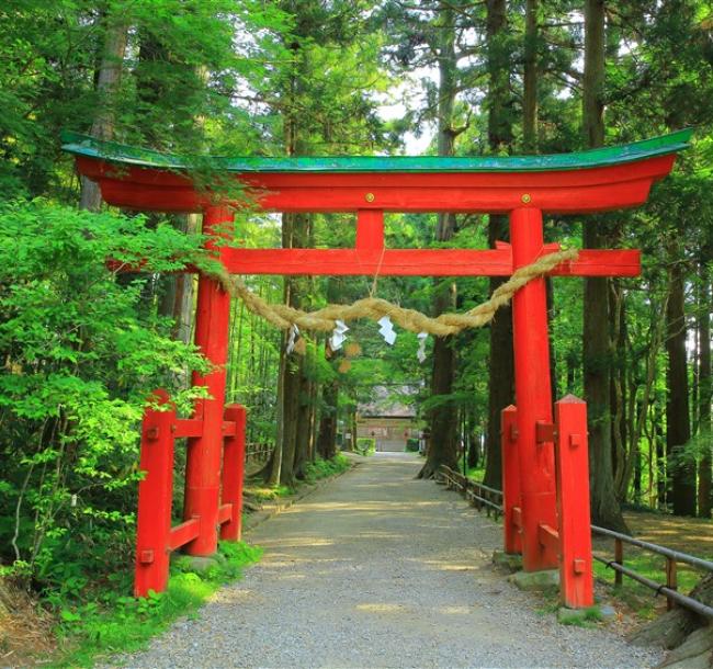 客製｜東北北海道雙城遊~四大溫泉~奧入瀨溪.青森蘋果神社.函館夜景.洞爺湖深度七日遊【專屬包車】※不含機票