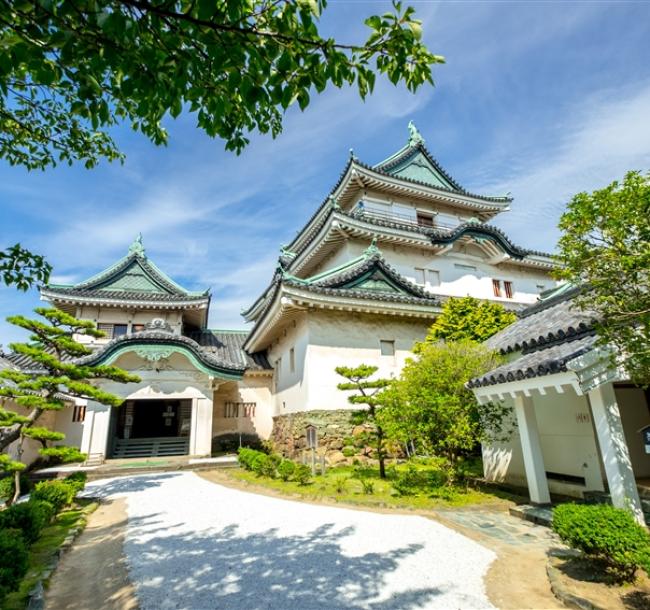 客製｜親子和歌山熊貓村之旅~奈良東大寺.和歌山城.一日自由活動.迷你小團五日【專屬包車】(北/高出發)※不含機票