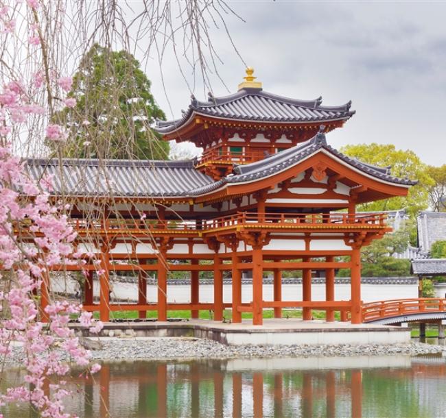 京阪春櫻極選‧高台寺夜櫻‧近江牛‧河豚料理‧嚴選旅宿雙逸林酒店‧五星盛泰瀾