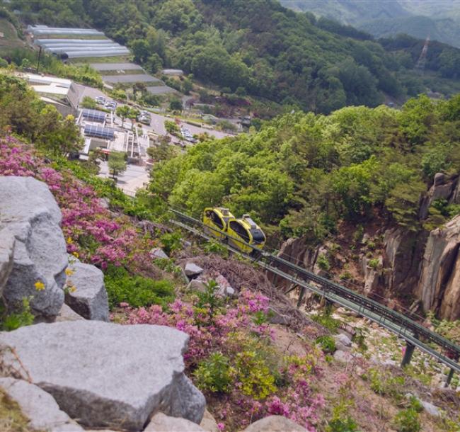 首爾旅遊｜升等住萬豪集團RYSE.水原星空圖書館.穿韓服遊景福宮.南怡島美境.弘大自由逛.超市補貨趣(一站購物彩妝)五日