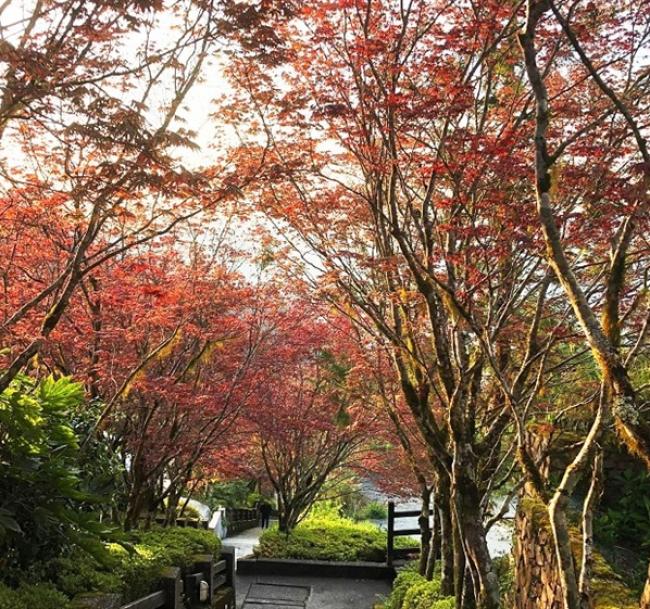 宜蘭旅遊｜太平山紫葉槭春楓、世界級見晴懷古步道、宜蘭煙波連泊三日遊｜高雄台南出發