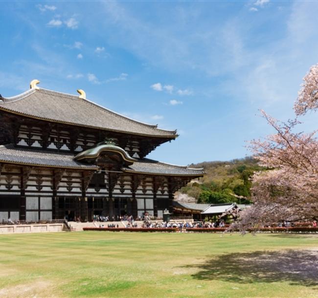 星宇春櫻雙城～名古屋京都｜國寶犬山城.淀川背割堤櫻.醍醐寺.伊勢神宮.奈良餵鹿體驗.舟遊近江八幡.雙和牛餐.甜點世界五日