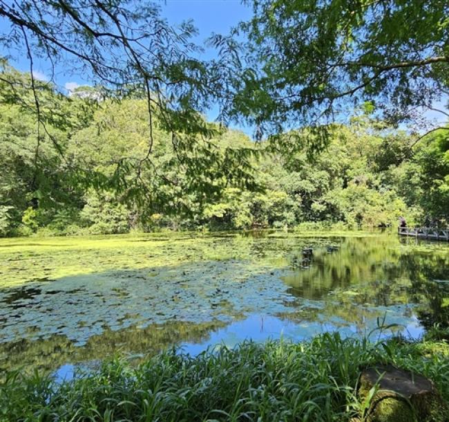 宜蘭旅遊｜好享住奢華.最高折3百｜動植物秘境天堂『福山植物園』.蘭楊趣味釣蝦.礁溪老爺1泊2食二日｜台中出發