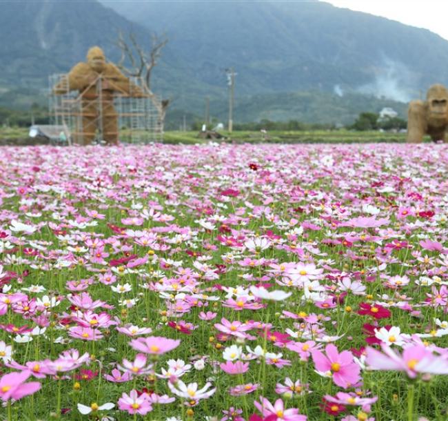 春節折500．花蓮旅遊│慶修院.撒固兒步道.富里春季花海.東大門夜市.新城諾亞方舟三日｜台中出發