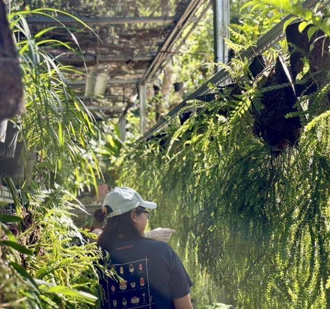 台東．鐵道旅遊台鐵四人成行｜藍皮解憂號．部落獵人體驗．原民慢食．絕美東海岸三日｜南高屏出發