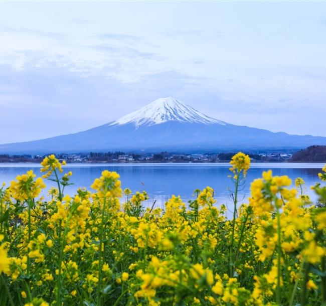 省最大東京促銷｜全程無自理餐～河口湖富士山.輕井澤.伊香保.小諸城址.川越古街.淺草寺.和牛美食.溫泉雙湯五日