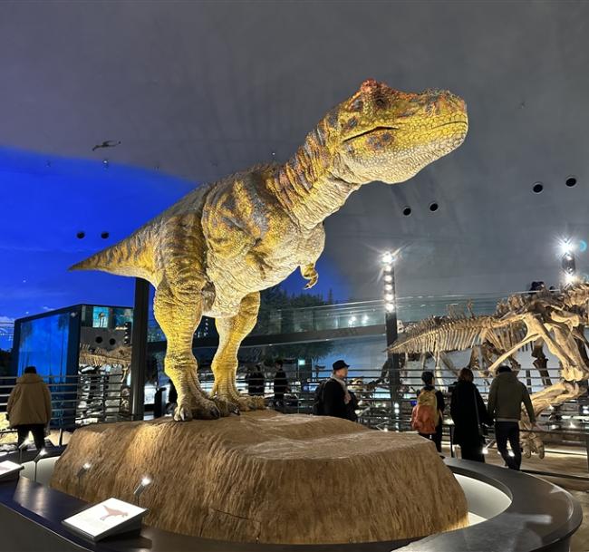 兒童最高省1萬｜親子樂園｜日本環球影城.樂高主題樂園.水族館.勇闖恐龍世界.LaCollina甜點.螃蟹溫泉六日(阪名)