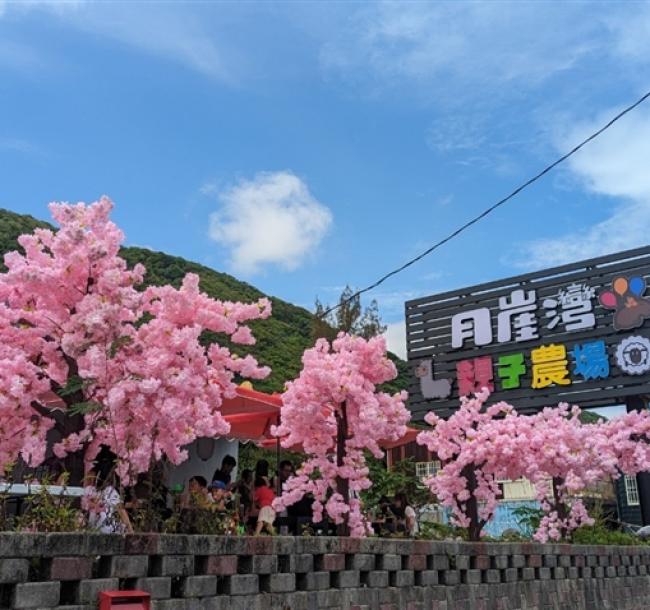 花蓮旅遊．火車來回｜折1000、玉山神學院櫻花、月崖灣親子農場、新城天主堂、鈺展苗圃落羽松三日｜高雄出發