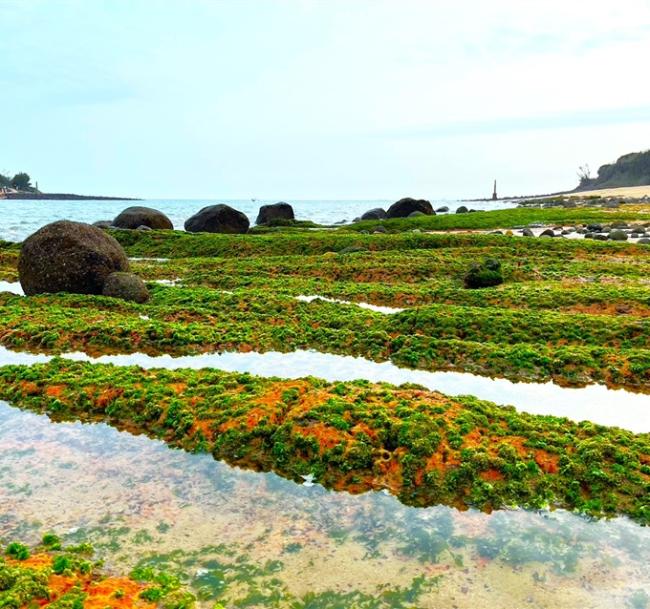 金門旅遊｜【仙境金門】小金門夢幻綠石槽．大金門奇幻藍眼淚．翟山坑道3日｜高雄出發