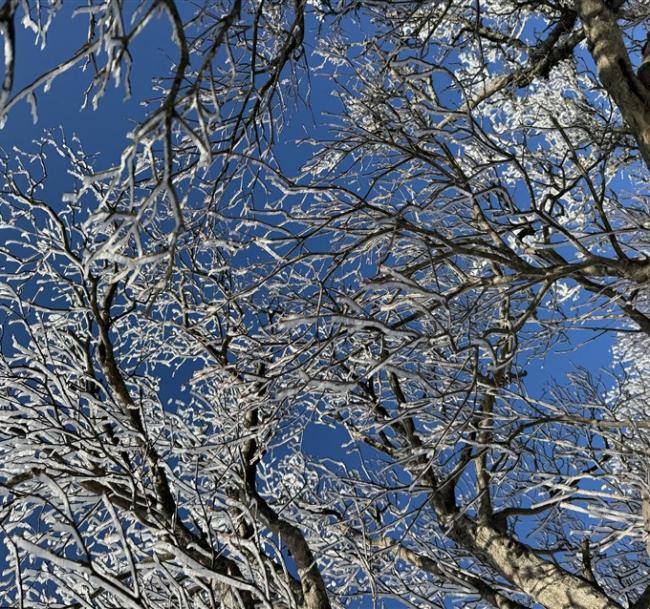 客製｜北陸上高地~樹冰雪地健行、大正池、吉卜力樂園、白川鄉合掌村迷你小團五日※不含機票