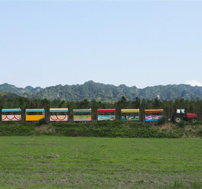 鐵道旅遊｜酋長遊園車、瓦拉米秘境、池上騎旅、初鹿羊咩咩、有機養生鍋、瑞穗暖湯三日｜新竹.桃園.板橋.台北