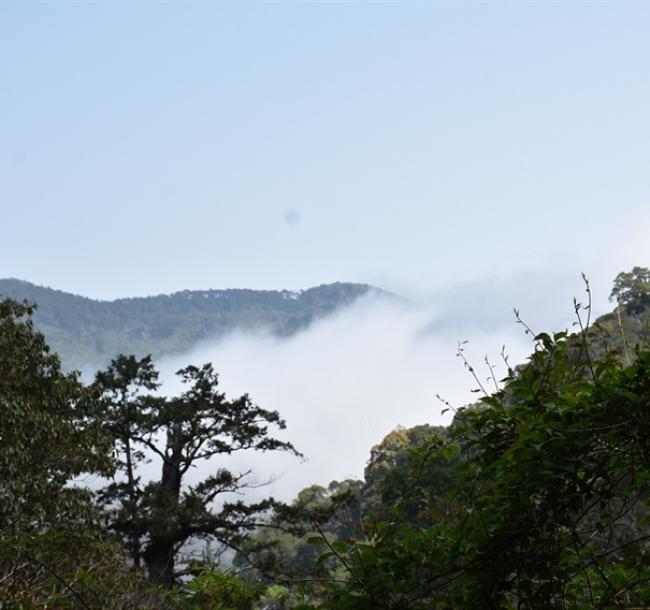 桃園旅遊｜第二人折3000.東眼山.拉拉山深度之旅.山嵐繚繞.原味餐桌.泰雅文化二日