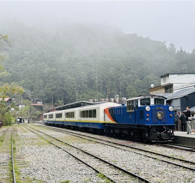 嘉義旅遊｜阿里山火車.栩悅號.國家森林步道巡禮.絕美二萬平二日｜高鐵來回