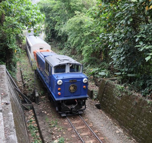 嘉義｜獨家栩悅號『奮起湖➔阿里山』森林導覽列車.懷舊奮起湖老街.阿里山國家森林遊樂區.高峰飯店二日｜高雄台南出發