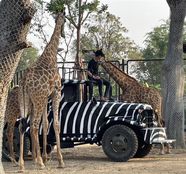 泰國｜大城獅子動物園、王朝古都巡禮、嘟嘟車遊大城、河畔米推料理、浪漫夜遊湄南河5日｜兩人成行