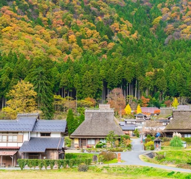 關西特選京阪奈｜百年路面京福電鐵.山林祕境三千院.美山町合掌村.奈良萌鹿.清水寺.金閣寺.嵐山渡月橋五日