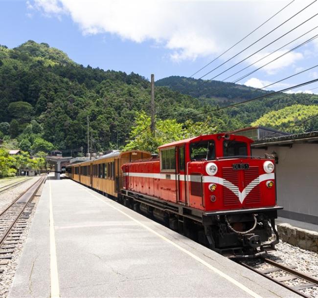 福森號｜粉綠交織．福氣春森｜嘉義風味探索與福森茶香之旅二日