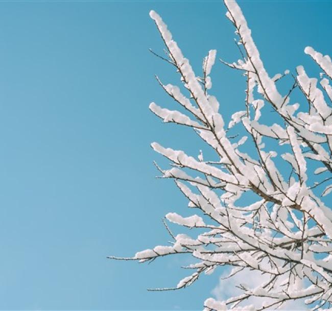 藏王樹冰．最上川雪見舟．銀山溫泉