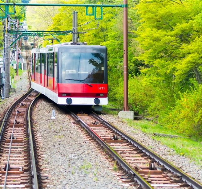 招財東京旅遊｜箱根鐵道黃金路線.箱根遊船.採果樂.小田原天守閣.東京鐵塔.上野購物.美食雙溫泉五日