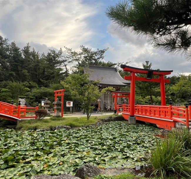 春遊東北|全程溫泉.青森秘境~高山稻荷神社~千鳥居.鶴の舞橋.秋田鐵道~繩文號列車.嚴美溪.德仙丈山.螃蟹和牛五日