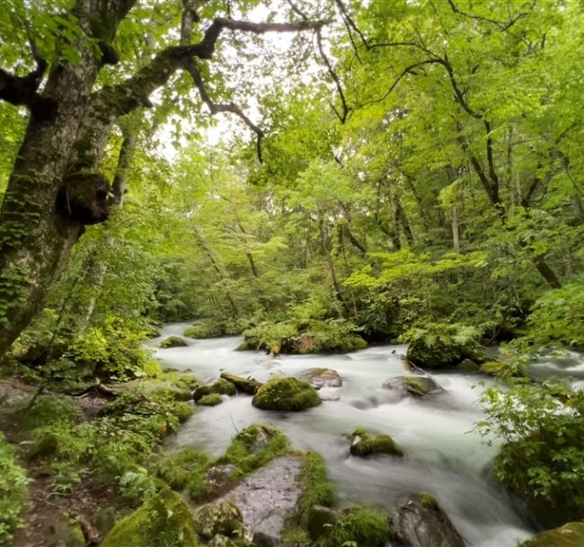 三零深度東北六縣旅遊|百選溫泉.奧入瀨溪.銀山溫泉街.嚴美溪.合掌村.五色沼.牧場花園.仙台水族館.和牛.美酒八日