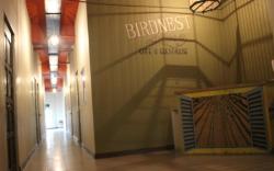 Birdnest Collective Cafe & Guesthouse