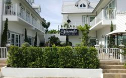Vanida Antique Home