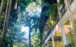 Tree House Hotel
