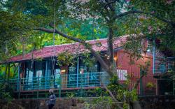 Saveda Farm & Cottages