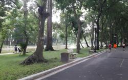 Green homestay Ha Noi