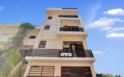 Flagship The Silver Tree