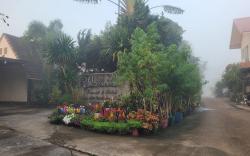 โรงแรมราชิการีสอร์ท