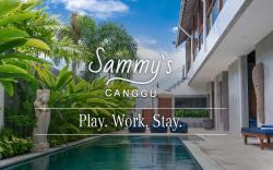 Sammy's Canggu