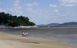 wave guest house