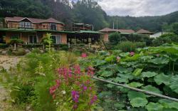 Red Clay Pension Dream Conversation