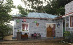 BEST EXPERIENCE IN JUNGLE